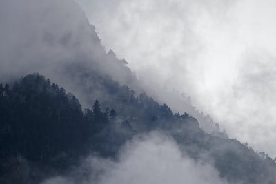 雾缭绕的山